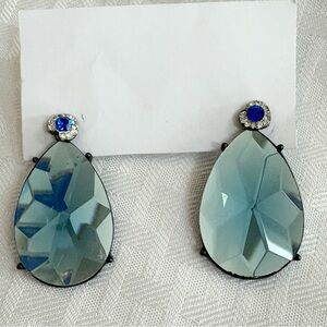 Elegant Blue Teardrop Earrings